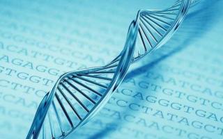 गुणसूत्र के उस भाग का नाम क्या है जिसमें जीन स्थित है - वंशानुक्रम के पैटर्न