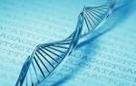 गुणसूत्र के उस भाग का नाम क्या है जिसमें जीन स्थित है - वंशानुक्रम के पैटर्न